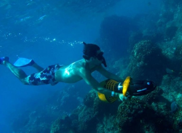  Exploring the sea with a snorkel 